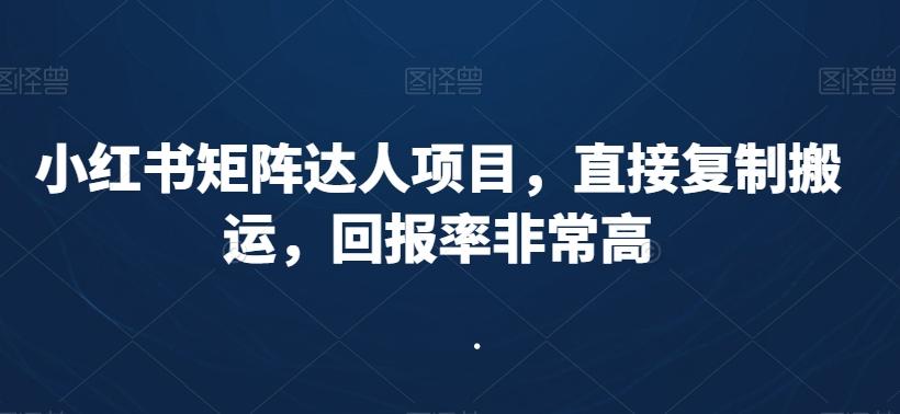 小红书矩阵达人项目，直接复制搬运，回报率非常高-创新Ovo