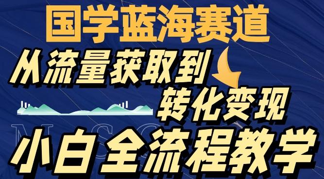 国学蓝海赛道，从流量获取，到转化变现，全流程教学-创新Ovo