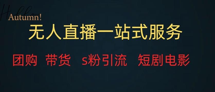 无人直播一站式服务（教程以及变现方式）-创新Ovo