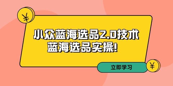 拼多多培训第33期：小众蓝海选品2.0技术-蓝海选品实操！-创新Ovo