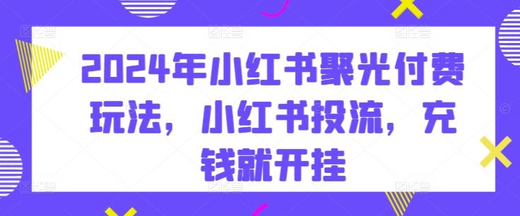 2024年小红书聚光付费玩法，小红书投流，充钱就开挂-创新Ovo