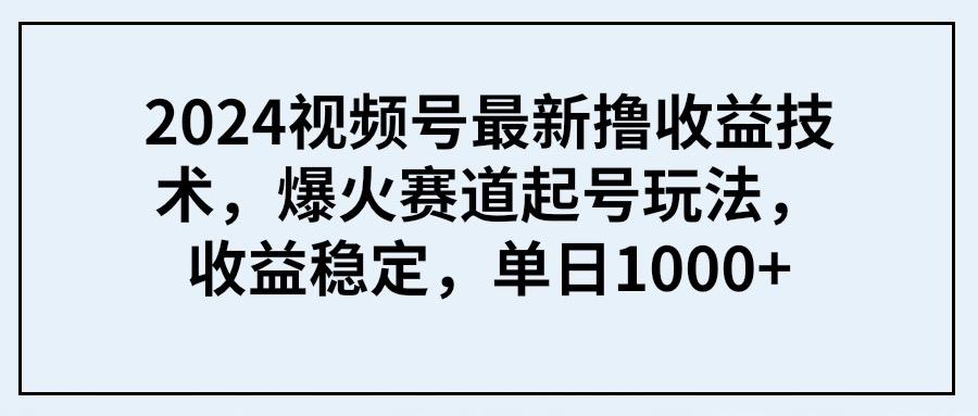 (9651期) 2024视频号最新撸收益技术，爆火赛道起号玩法，收益稳定，单日1000+-创新Ovo