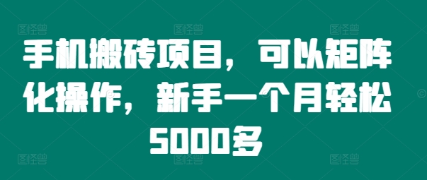 手机搬砖项目，可以矩阵化操作，新手一个月轻松5000多-创新Ovo