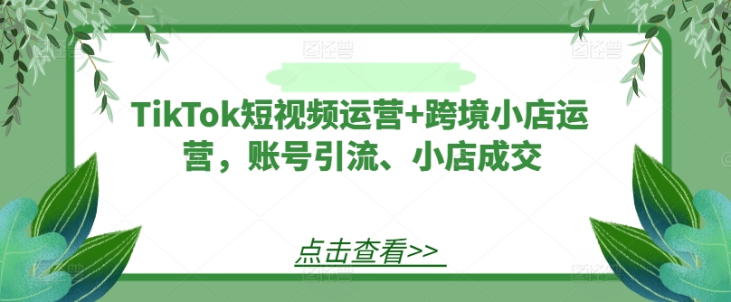 TikTok短视频运营+跨境小店运营，账号引流、小店成交-创新Ovo