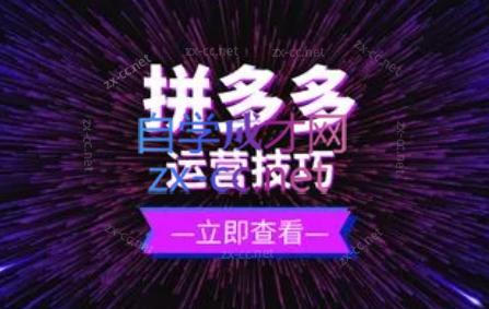 力辛电商·拼多多强付费店群玩法-创新Ovo