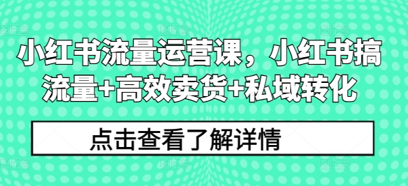小红书流量运营课，小红书搞流量+高效卖货+私域转化-创新Ovo