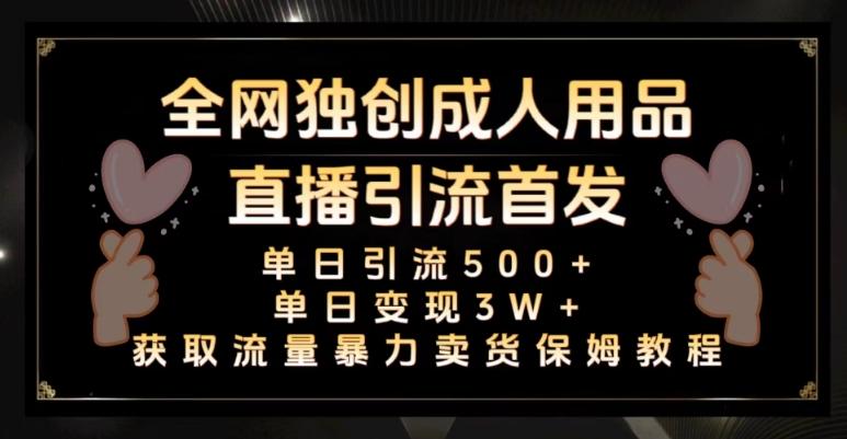 全网独创真人主播+无人直播单日引流500+，橙人用品暴力卖货单日变现3W+保姆似教学2.0【揭秘】-创新Ovo