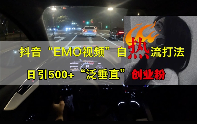 抖音EMO视频自热打法，日引500+“泛垂直”创业粉-创新Ovo