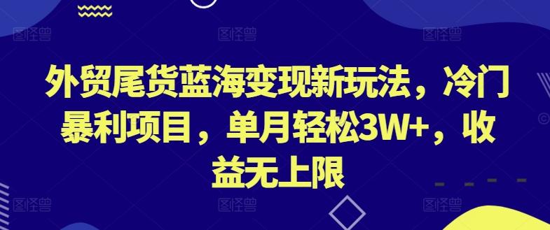 外贸尾货蓝海变现新玩法，冷门暴利项目，单月轻松3W+，收益无上限【揭秘】-创新Ovo