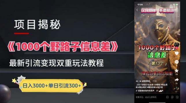 一千个野路子信息差最新玩法教程-变现+引流的玩法具体拆解【揭秘】-创新Ovo