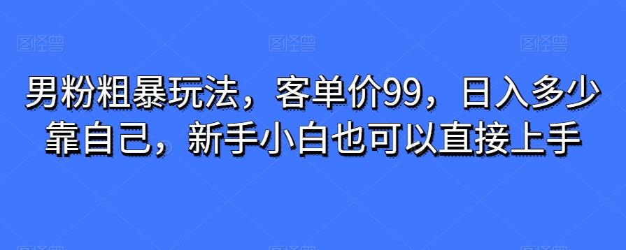 男粉粗暴玩法，客单价99，日入多少靠自己，新手小白也可以直接上手-创新Ovo