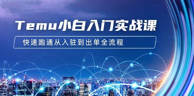 (9295期)Temu小白入门实战课：跨境拼多多电商培训 快速跑通从入驻到出单全流程-12节-创新Ovo