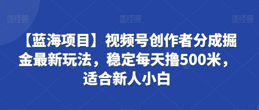 【蓝海项目】视频号创作者分成掘金最新玩法，稳定每天撸500米，适合新人小白【揭秘】-创新Ovo