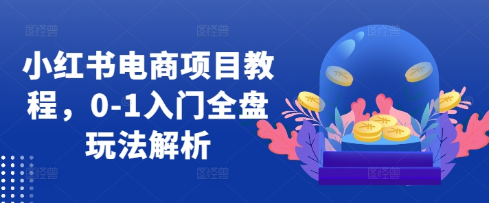 小红书电商项目教程，0-1入门全盘玩法解析-创新Ovo