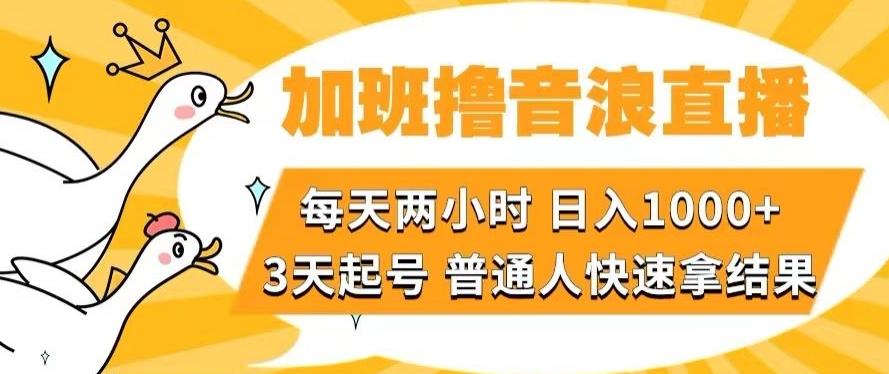 加班撸音浪直播，每天两小时，日入1000+，直播话术才3句，3天起号，普通人快速拿结果【揭秘】-创新Ovo
