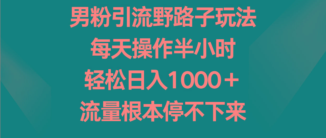 男粉引流野路子玩法，每天操作半小时轻松日入1000＋，流量根本停不下来-创新Ovo