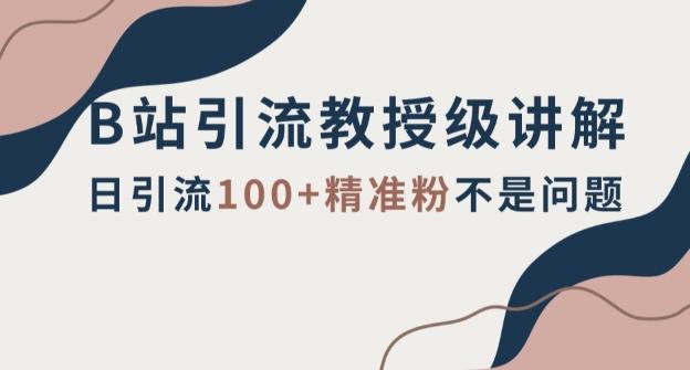 B站引流教授级讲解，细节满满，日引流100+精准粉不是问题【揭秘】-创新Ovo