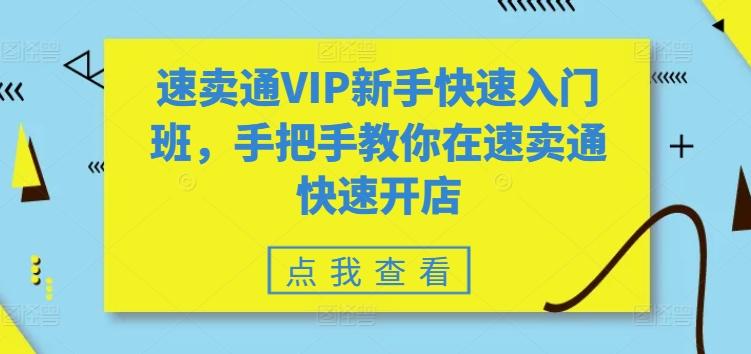 速卖通VIP新手快速入门班，手把手教你在速卖通快速开店-创新Ovo