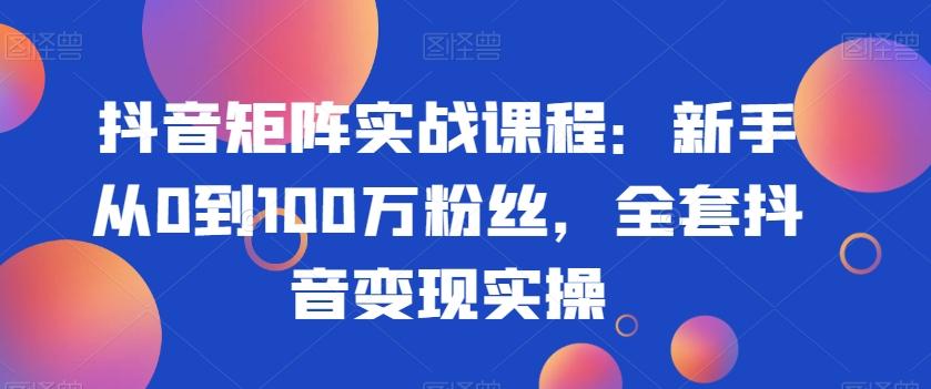 抖音矩阵实战课程：新手从0到100万粉丝，全套抖音变现实操-创新Ovo