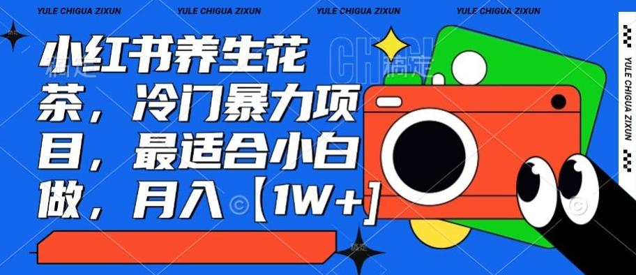 小红书养生花茶，冷门暴力项目，最适合小白做，月入【1W+】-创新Ovo