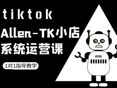 TK小店系统运营课-tiktok跨境电商教程-创新Ovo