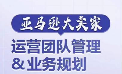 亚马逊大卖家-运营团队管理&业务规划，为你揭秘如何打造超强实力的运营团队-创新Ovo