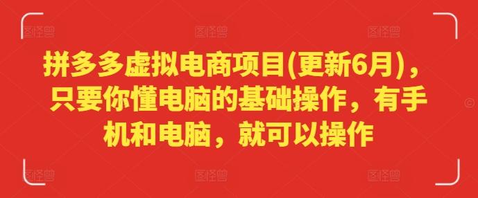 拼多多虚拟电商项目(更新6月)，只要你懂电脑的基础操作，有手机和电脑，就可以操作-创新Ovo