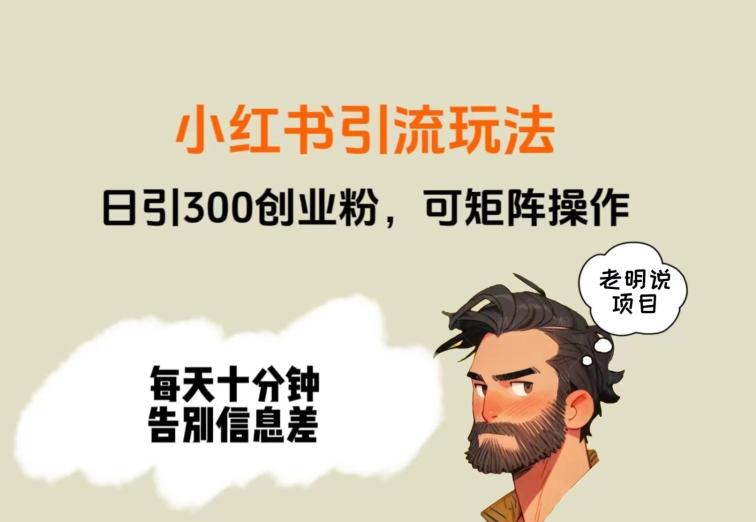 靠小红书视频日印300粉，两分钟一个视频轻松矩阵-创新Ovo