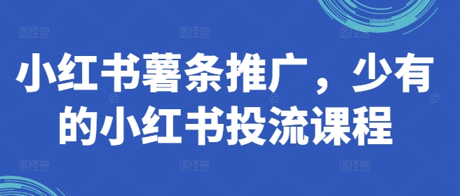 小红书薯条推广，少有的小红书投流课程-创新Ovo