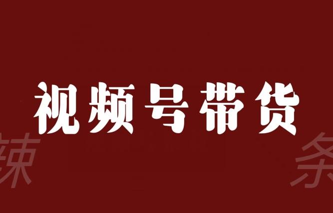 视频号带货联盟，赚信息差的带货钱，只需手机随时随地都可以做！-创新Ovo