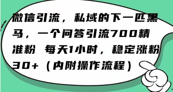 怎么搞精准创业粉？微信新赛道，每天一小时，利用Ai一个问答日引100精准粉-创新Ovo