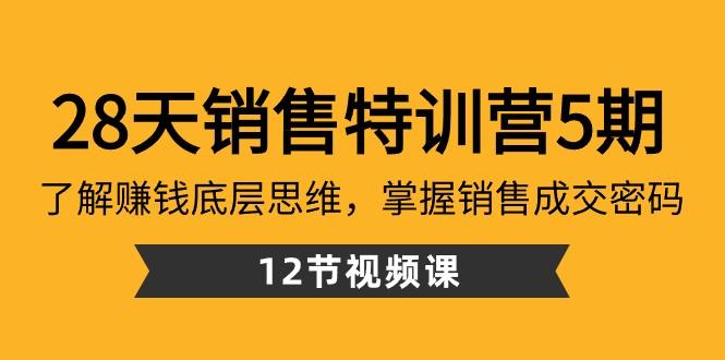 28天销售特训营5期：了解赚钱底层思维，掌握销售成交密码（12节课）-创新Ovo