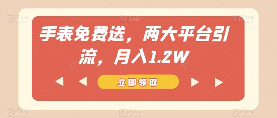 手表免费送，两大平台引流，月入1.2W【揭秘】-创新Ovo