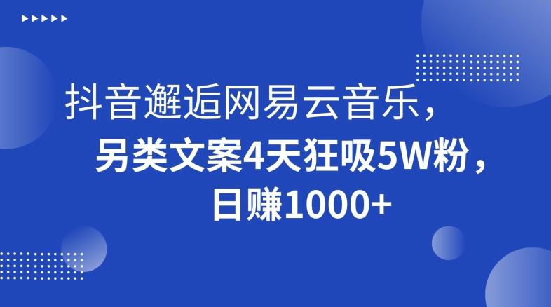抖音邂逅网易云音乐，另类文案4天狂吸5W粉，日赚1000+【揭秘】-创新Ovo