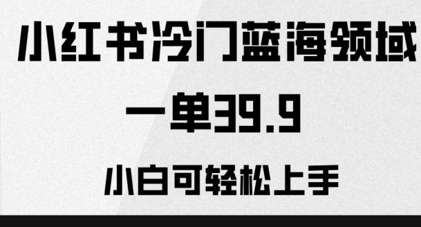 小红书冷门蓝海领域，一单39.9，小白可轻松上手-创新Ovo