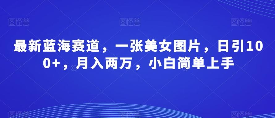 最新蓝海赛道，一张美女图片，日引100+，月入两万，小白简单上手-创新Ovo