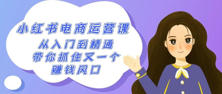 2024小红书电商运营课，从入门到精通，带你抓住又一个赚钱风口(50节课)-创新Ovo