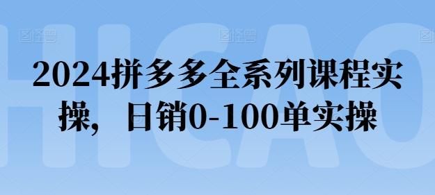 2024拼多多全系列课程实操，日销0-100单实操【必看】-创新Ovo