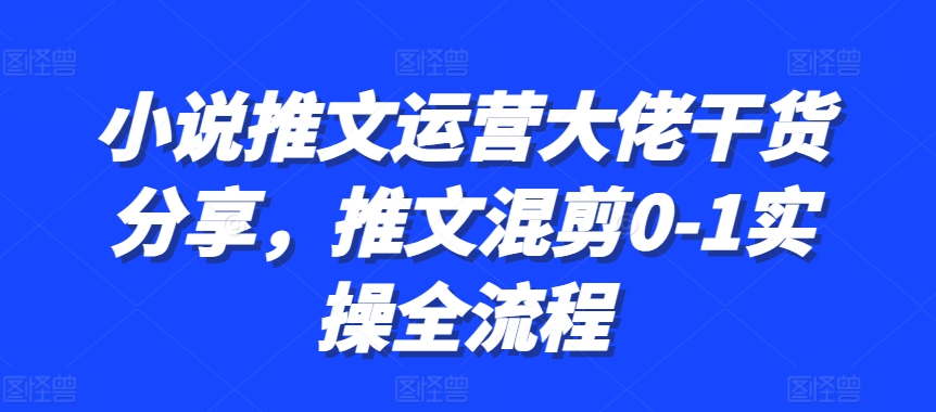 小说推文运营大佬干货分享，推文混剪0-1实操全流程-创新Ovo