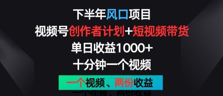 下半年风口项目，视频号创作者计划+视频带货，一个视频两份收益，十分钟一个视频【揭秘】-创新Ovo