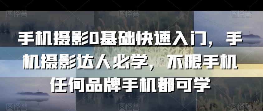 手机摄影0基础快速入门，手机摄影达人必学，不限手机任何品牌手机都可学-创新Ovo
