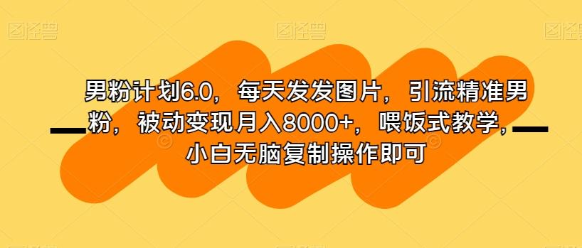 男粉计划6.0，每天发发图片，引流精准男粉，被动变现月入8000+，喂饭式教学，小白无脑复制操作即可-创新Ovo
