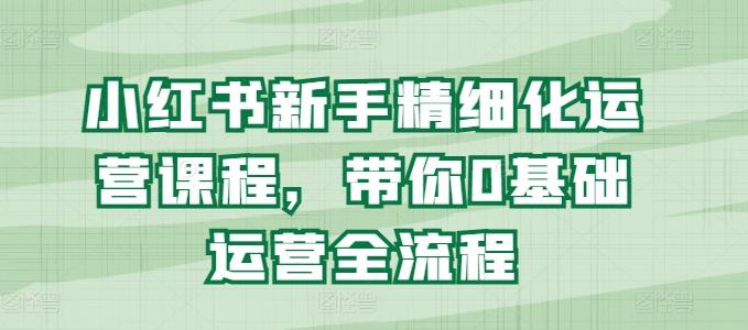 小红书新手精细化运营课程，带你0基础运营全流程-创新Ovo