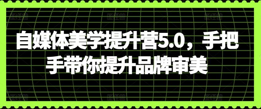 自媒体美学提升营5.0，手把手带你提升品牌审美-创新Ovo