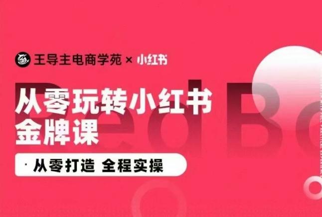 王导主·小红书电商运营实操课，​从零打造  全程实操-创新Ovo