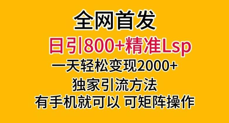 全网首发！日引800+精准老色批，一天变现2000+，独家引流方法，可矩阵操作【揭秘】-创新Ovo