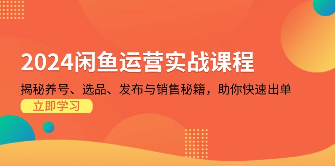 2024闲鱼运营实战课程：揭秘养号、选品、发布与销售秘籍，助你快速出单-创新Ovo