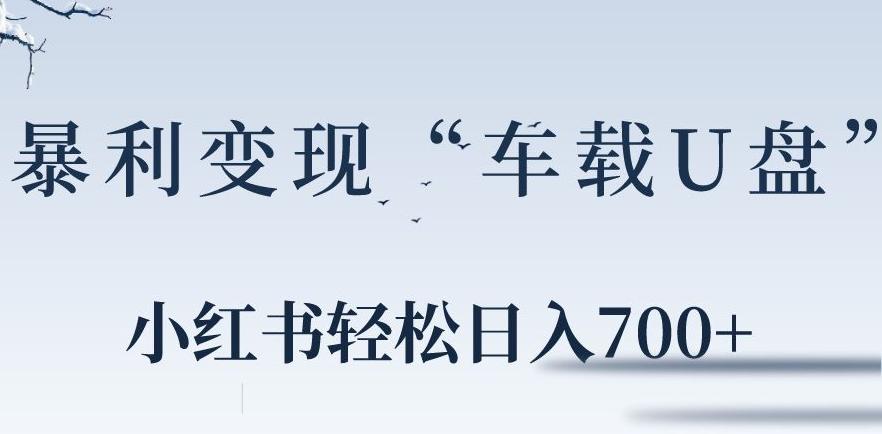 小红书“车载U盘”暴利引流，日入700+-创新Ovo