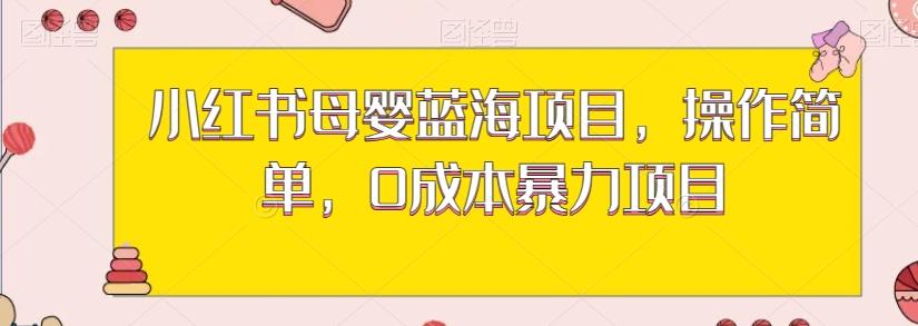 小红书母婴蓝海项目，操作简单，0成本暴力项目-创新Ovo