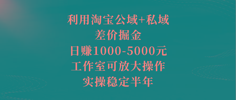 利用淘宝公域+私域差价掘金，日赚1000-5000元，工作室可放大操作，实操…-创新Ovo